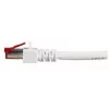 Tinklo kabelis EFB Elektronik K5518.50 RJ-45 Cat6 50 m Baltas