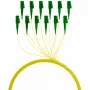 EFB Elektronik FTTH-PIGTAIL-LCA1 2m LC/APC 6x LC OS2 šviesolaidinis kabelis