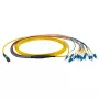 Šviesolaidinis kabelis EFB Elektronik MTPF12LCOS2-2