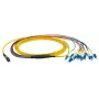 Šviesolaidinis kabelis EFB Elektronik MTPF12LCOS2-3