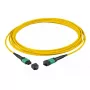 Šviesolaidinis kabelis EFB Elektronik MTPF12MTPFOS2-15-A MTP OS2 15 m geltonas