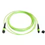 Šviesolaidinis MTP kabelis EFB Elektronik MTPF12MTPFOM5-5, OM5, MTP–MTP, 5 m, 50 µm