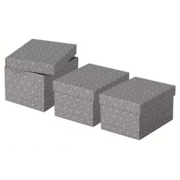 Laikymo dėžutė Esselte 628281 Pilka Stačiakampė 200x255x150 mm