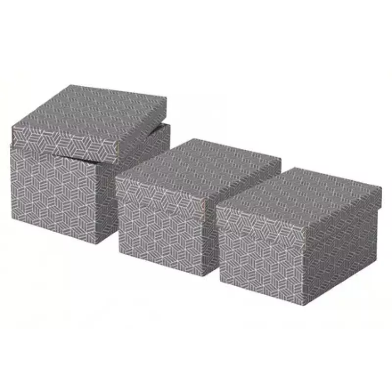 Laikymo dėžutė Esselte 628281 Pilka Stačiakampė 200x255x150 mm