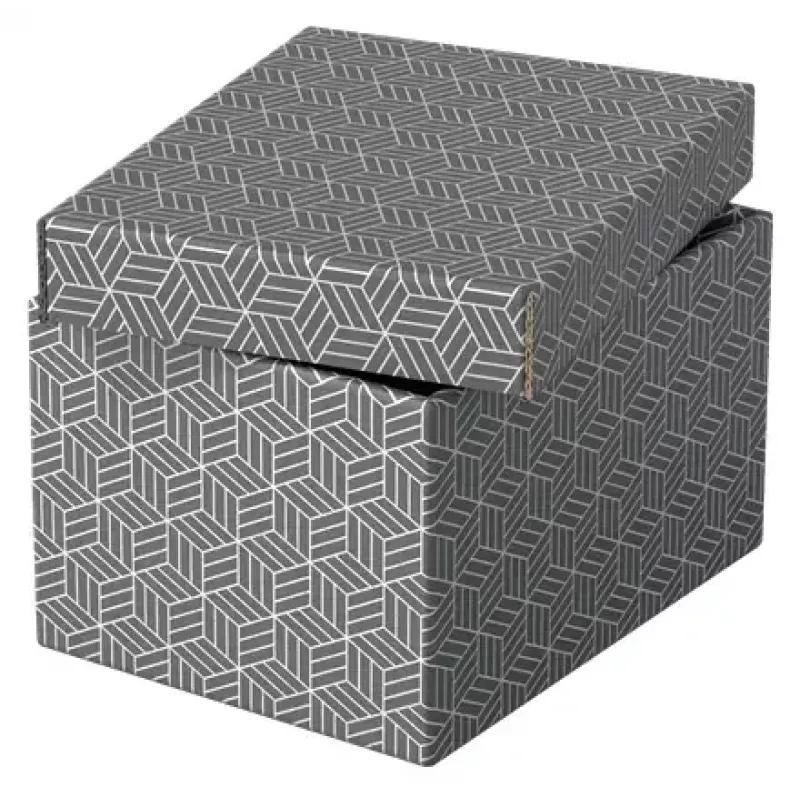Laikymo dėžutė Esselte 628281 Pilka Stačiakampė 200x255x150 mm