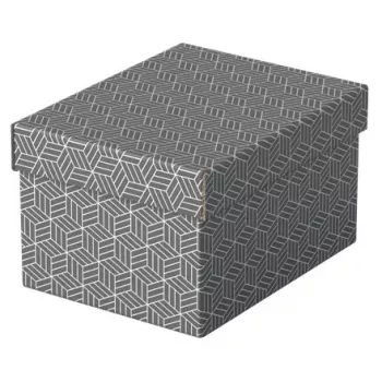 Laikymo dėžutė Esselte 628281 Pilka Stačiakampė 200x255x150 mm