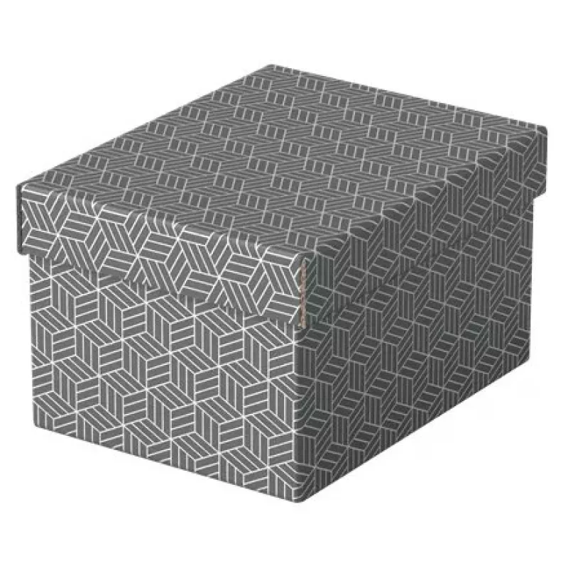 Laikymo dėžutė Esselte 628281 Pilka Stačiakampė 200x255x150 mm