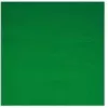 Kameros fonas Walimex 16550 Žalias Medvilnė 2850 mm x 6000 mm