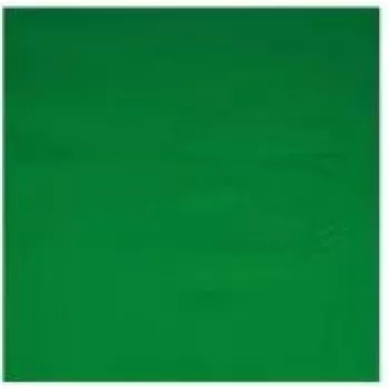 Kameros fonas Walimex 16550 Žalias Medvilnė 2850 mm x 6000 mm