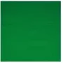 Kameros fonas Walimex 16550 Žalias Medvilnė 2850 mm x 6000 mm