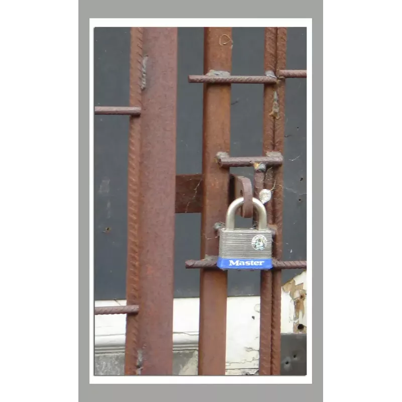 Pakabinama spyna MASTERLOCK 51 mm laminuoto plieno korpusas su kaištiniu cilindriniu mechanizmu