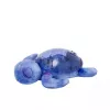 Naktinė švieselė ant stalo „Cloud B Tranquil Turtle“ mėlyna, automatinis išjungimas