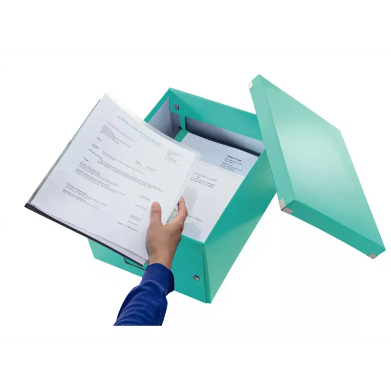 Laikymo dėžė Leitz Click & Store Medium Box