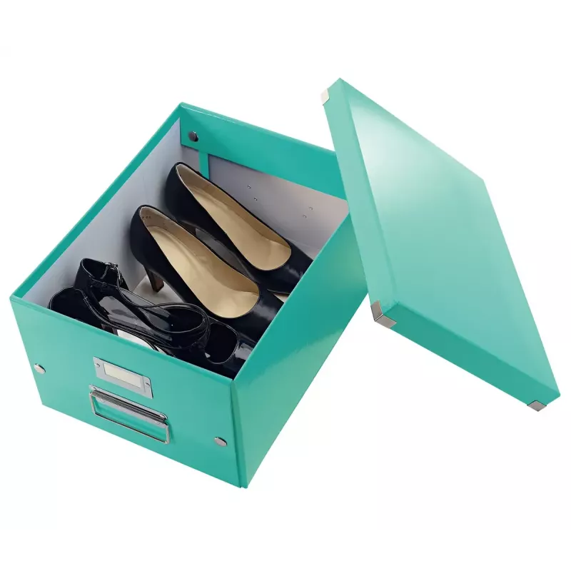 Laikymo dėžė Leitz Click & Store Medium Box
