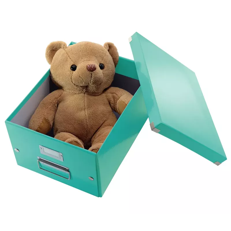 Laikymo dėžė Leitz Click & Store Medium Box