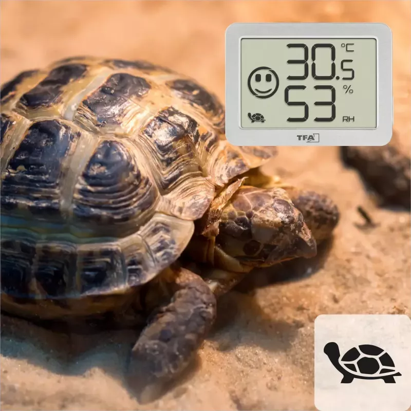 Vidaus temperatūros ir drėgmės jutiklis TFA-Dostmann 30.5055.02 belaidis, pastatomas