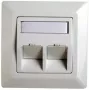 RJ45 Adaptor Frame Cat.5e Telegärtner H02010A0040 45° Dvigubas 80x80 mm Alpių Balta