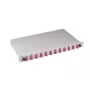 EFB Elektronik B71203L12OM4 šviesolaidinis adapteris SC multimodinis, pilkos/violetinės spalvos, 483×244×44,5 mm, 1 vnt.