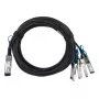 DAC laidas BlueOptics MCP7F00-A01AR-BL 2m QSFP28 į 4x SFP28 juodas