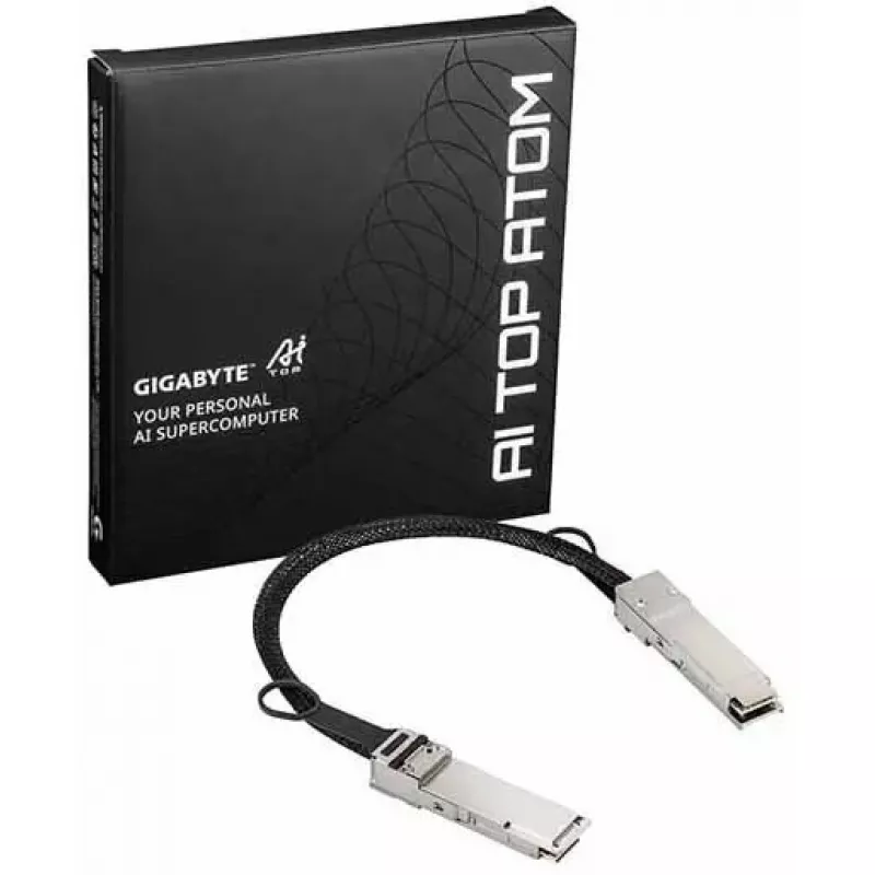 Tinklo kabelis GIGABYTE ATC9000-QSFP QSFP112 į QSFP112 40 cm