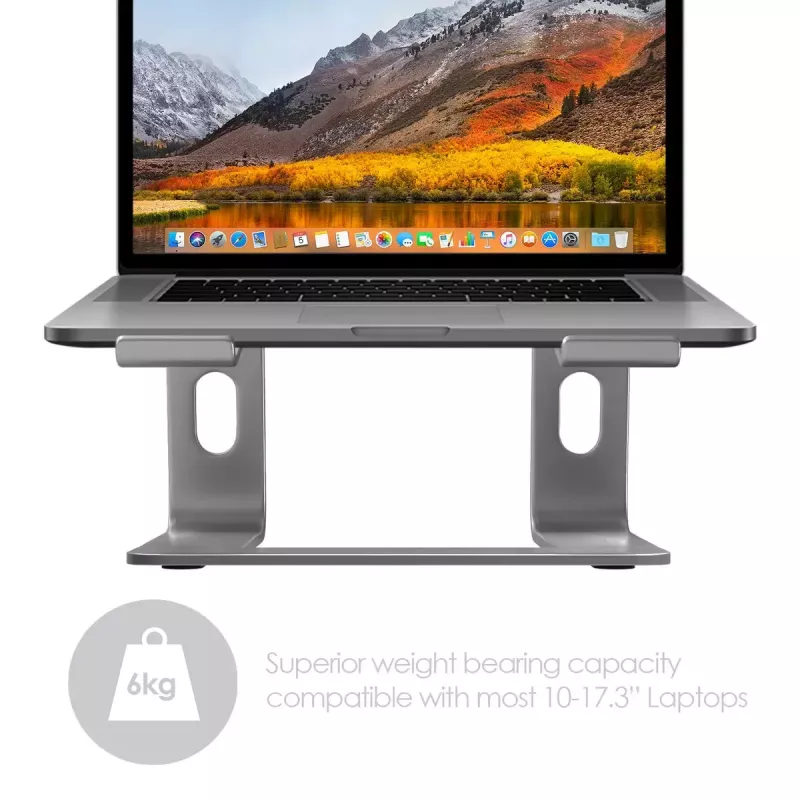 Nešiojamojo kompiuterio stovas Desire2 Supreme Pro sidabrinis 43,9 cm (17,3 col.) nešiojamiesiems kompiuteriams, aliuminis, 127 mm aukščio, 254 mm ilgio