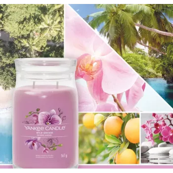 Vaškinė žvakė Yankee Candle Wild Orchid Aukštis 157 mm Plotis 93 mm