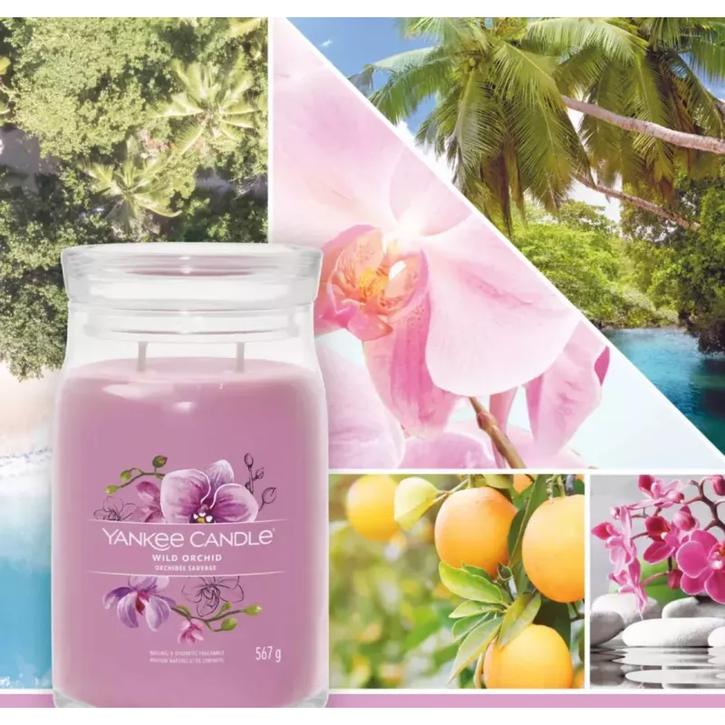 Vaškinė žvakė Yankee Candle Wild Orchid Aukštis 157 mm Plotis 93 mm