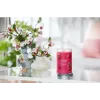 Vaškinė cilindro formos žvakė „Yankee Candle“ 1724404E, aukštis 149 mm, skersmuo 9,9 cm