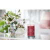Vaškinė žvakė Yankee Candle 1724478E vyšninė raudona 149 mm 567 g