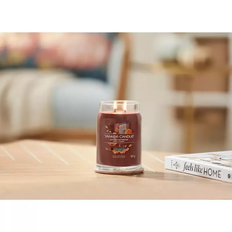 Vaškinė žvakė Yankee Candle 1743378E Raudona 157 mm aukštis 9,3 cm skersmuo 567 g