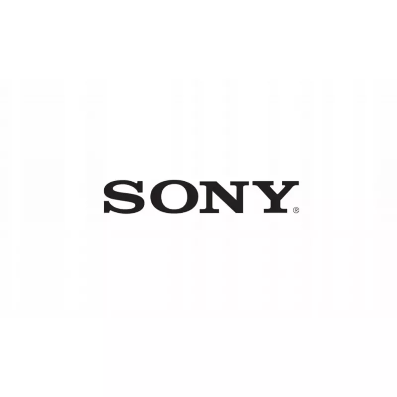 Sony SPRO LK1_M49_L43 A2179428A modulis – Originalius pakaitinis elektroninis modulis, Sony