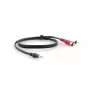 Garso kabelis Kramer Electronics C-A35M/2RAM-25 7,6 m 3,5 mm 2 x RCA Juodas