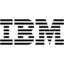 Pelė IBM Optical 3 Button pelė USB 89Y1275