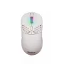 Pelės kilimėlis FOURZE GM900