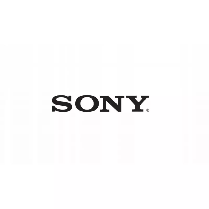 LCD modulis Sony A2170075A — 3 colių ekrano skydelis elektroniniams prietaisams