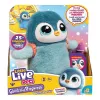 Interaktyvus žaislas Cobi Little Live Pets vaikštantis pingvinas Kiwaczek MO-26535, baterijomis maitinamas vaikštantis augintinis