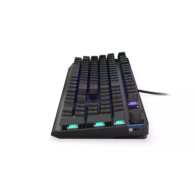 Žaidimų klaviatūra ENDORFY Thock RF belaidė USB mechaninė RGB juoda