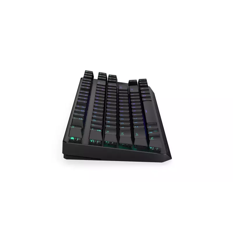 Klaviatūra ENDORFY Thock TKL Wireless Juoda mechaninė RGB LED 87 klavišai