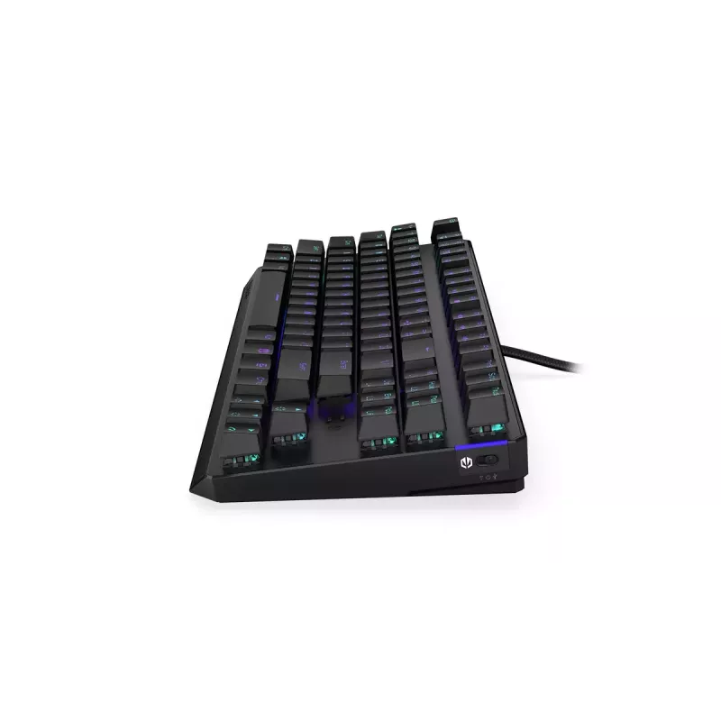 Klaviatūra ENDORFY Thock TKL Wireless Juoda mechaninė RGB LED 87 klavišai