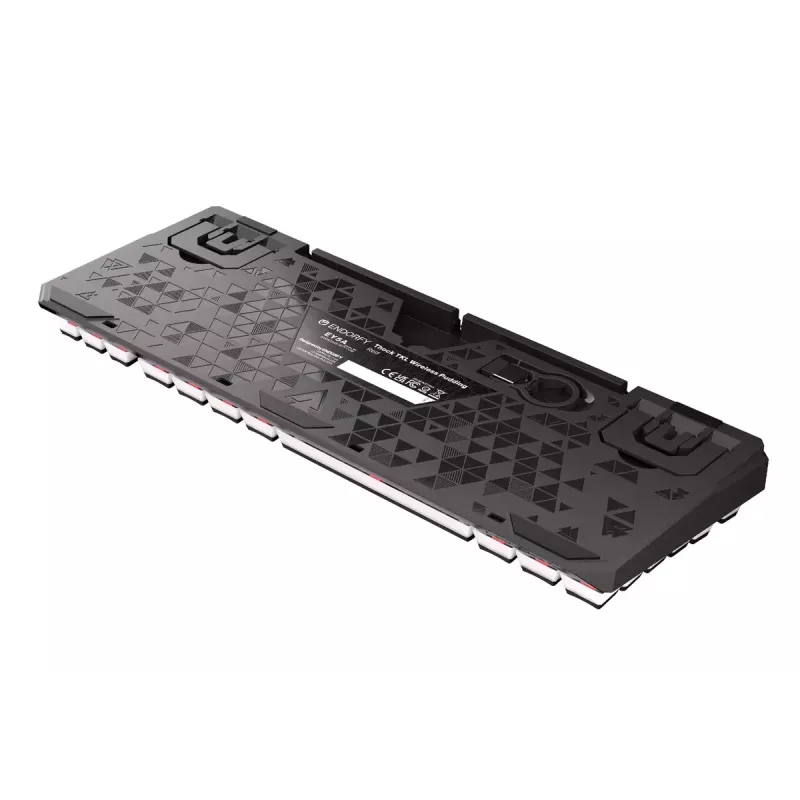 Žaidimų klaviatūra ENDORFY TKL USB mechaninė 87 klavišai RGB juoda