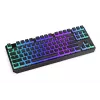 Žaidimų klaviatūra ENDORFY TKL USB mechaninė 87 klavišai RGB juoda