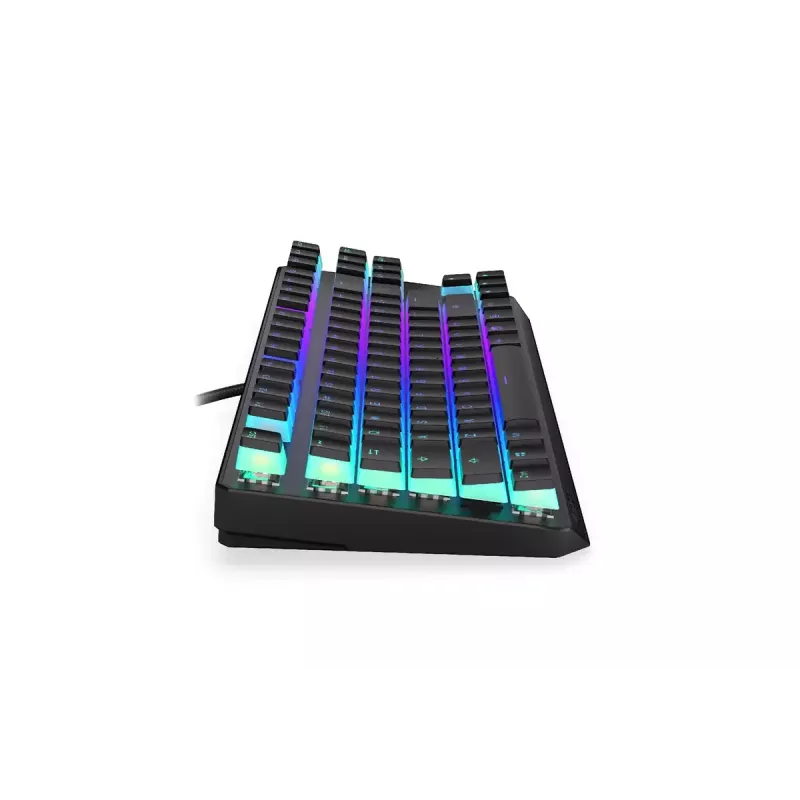Žaidimų klaviatūra ENDORFY TKL USB mechaninė 87 klavišai RGB juoda