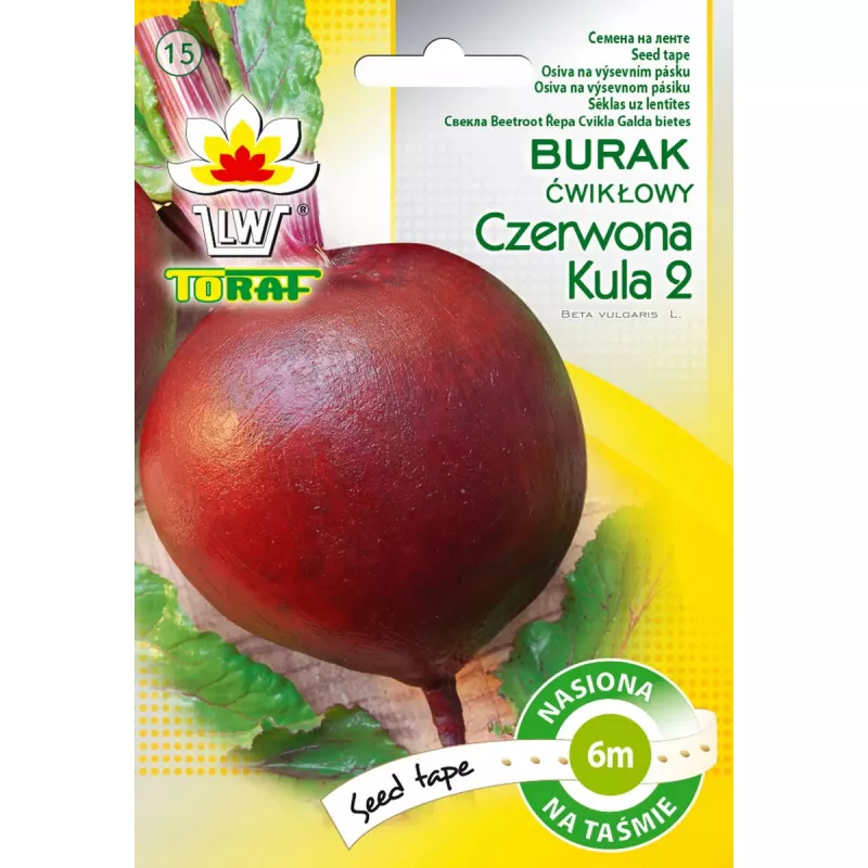 Burokėliai 'Czerwona Kula' (Beta vulgaris) Toraf sėklos — 6 mėnesių galiojimo laikas