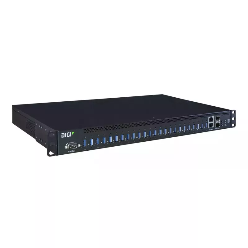 Sąsajos šakotuvas Digi AW24-G300