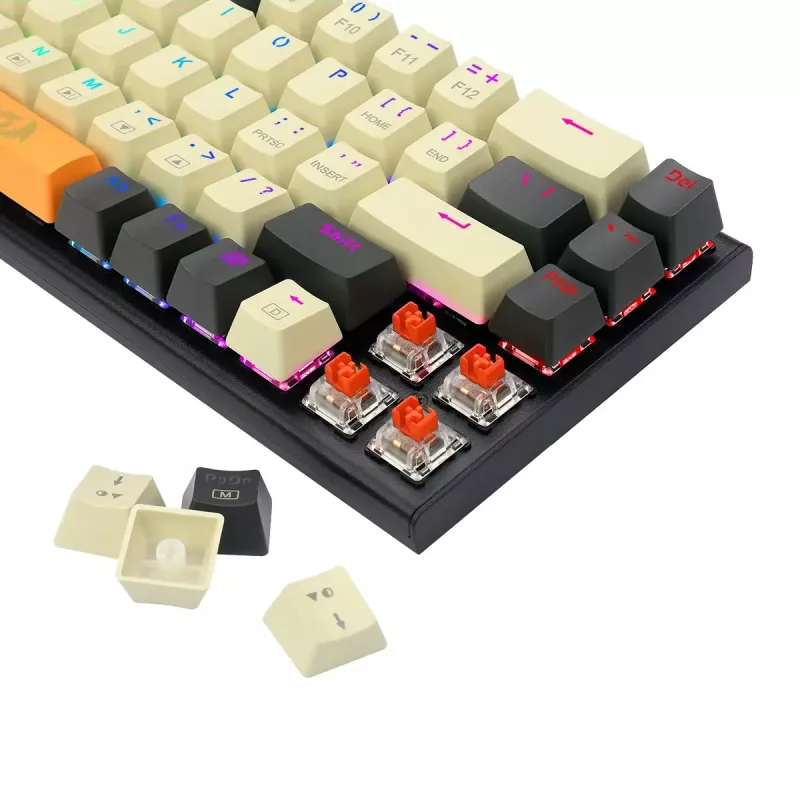 Klaviatūra REDRAGON K633CGO-RGB Ryze mechaninė laidinė USB juoda balta