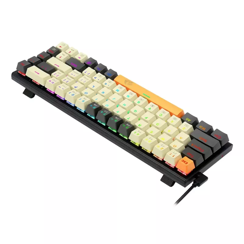 Klaviatūra REDRAGON K633CGO-RGB Ryze mechaninė laidinė USB juoda balta