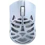 WLpelė Beast Miao žaidimų pelė su Omron optiniais jungikliais, eisblau (MIAO-IBLUE-O)