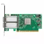 Mellanox Technologies MCX556A-ECAT tinklo plokštė