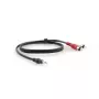 Garso kabelis Kramer Electronics C-A35M/2RAM-10 3 m 3,5 mm 2xRCA juodas