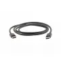 DisplayPort laidas Kramer Electronics C-DP 1.8m